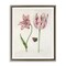 Stupell Industries Classic Tulip & Butterfly Framed Floater Canvas Wall Art Design by Jacob Marrel